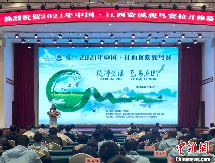 2021年中國·江西資溪觀鳥賽開幕 進(jìn)一步摸清鳥類資源“家底”